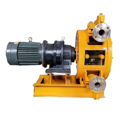 Pompa per tubo peristaltico per lavori di costruzione e dosaggio chimico 6v12v24v 1030*300*300